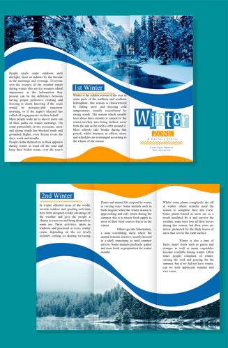Brochures Designing & Printing Services